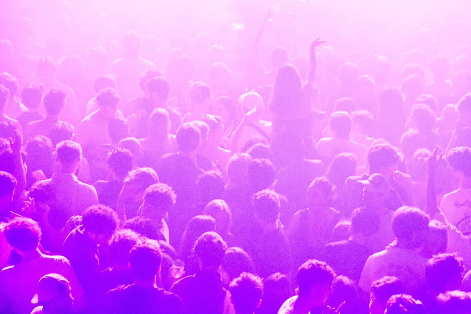 Nitsa Club
