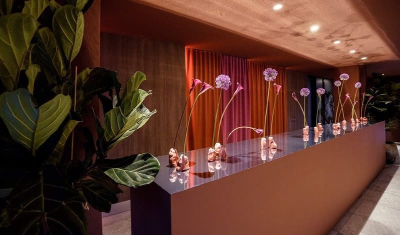 SeaSeaClub — foto 3